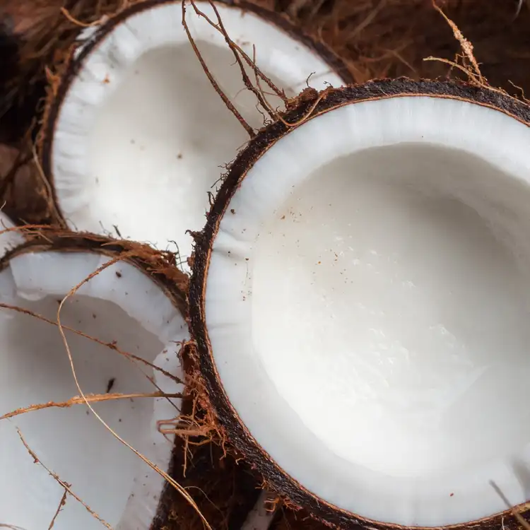 Aroma Coconut Element