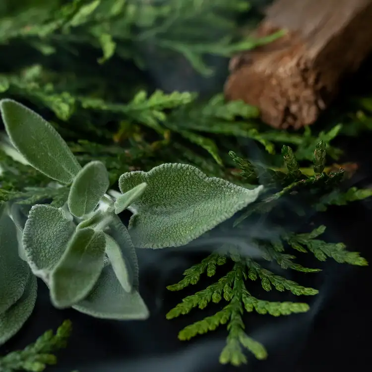 Aroma Sage and Cypress