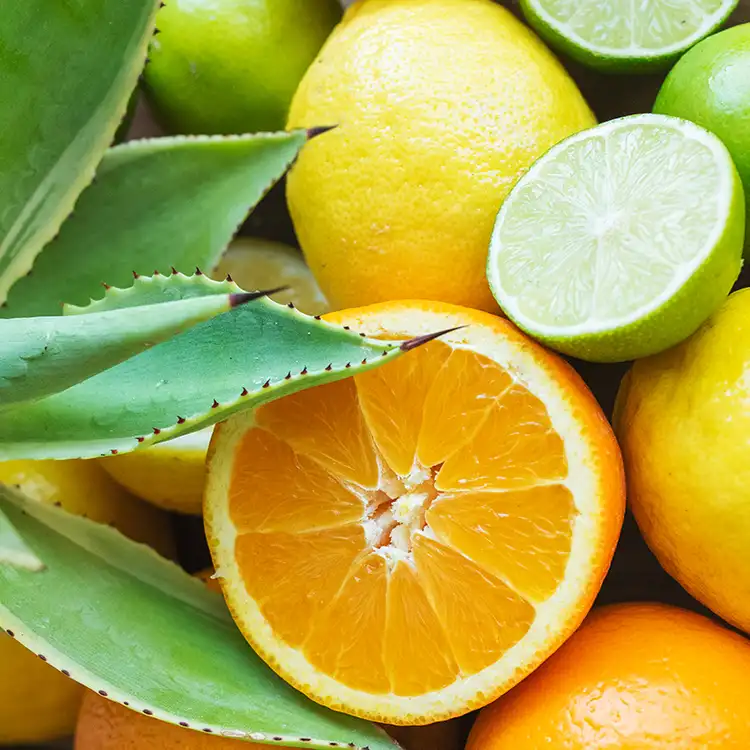 Aroma Citrus Agave
