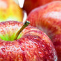 Aroma Macintosh Apple